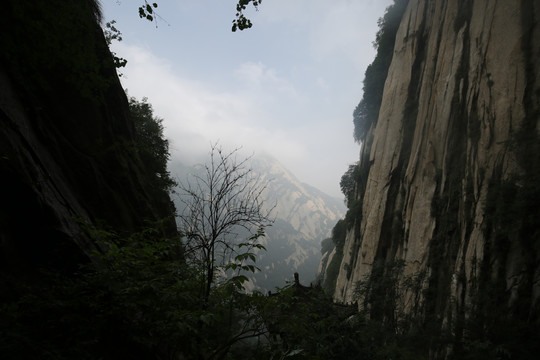 西岳华山