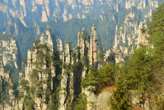 张家界武陵源砂岩峰林自然风景