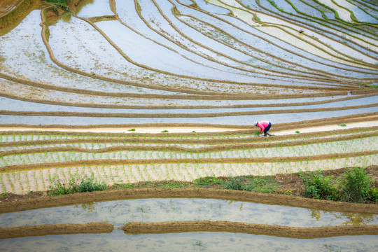 上堡梯田