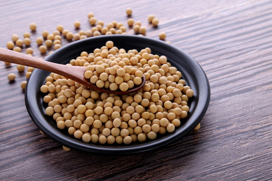 黃豆大豆