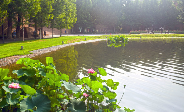 传媒大学校园景色