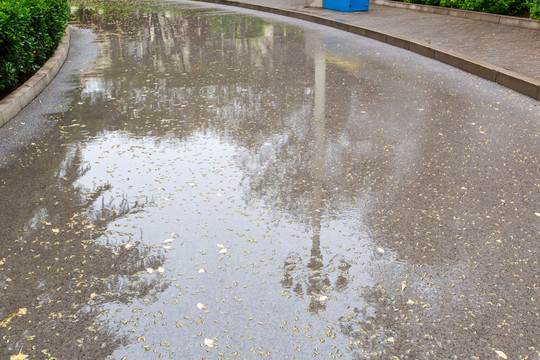 北京中国农业博物馆道路