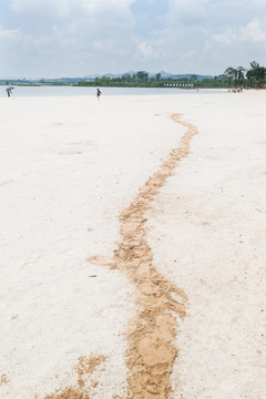 湿地公园沙滩海滩