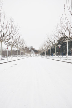 雪中的道路