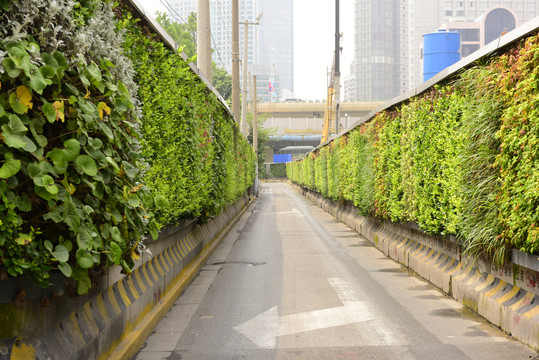 植物墙建筑围墙