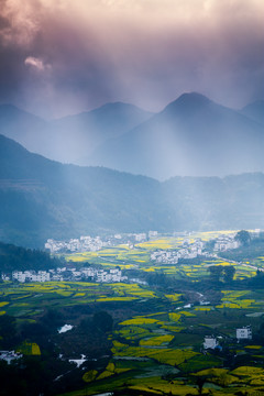 婺源江岭梯田