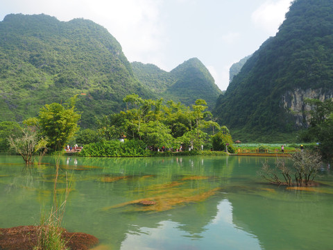 水景