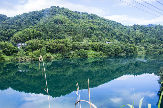 青山湖水倒影