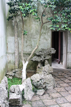 庭院