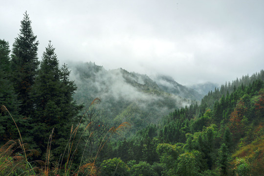 雾山云海风光