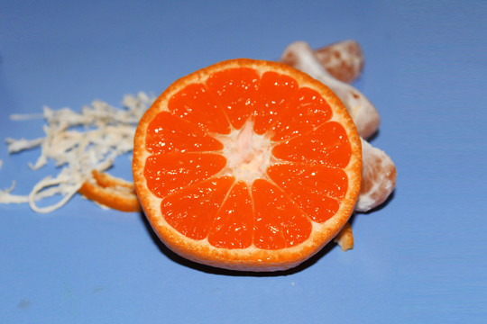 橘子解剖图