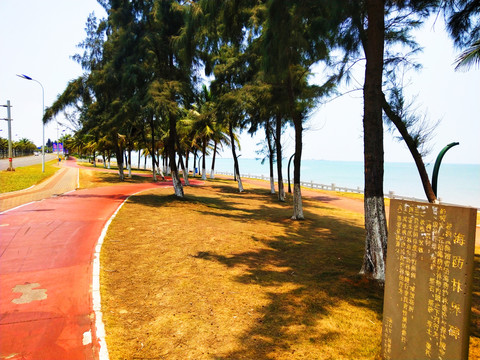 海南岛海口市西秀海滩实景