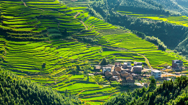 黑山梯田