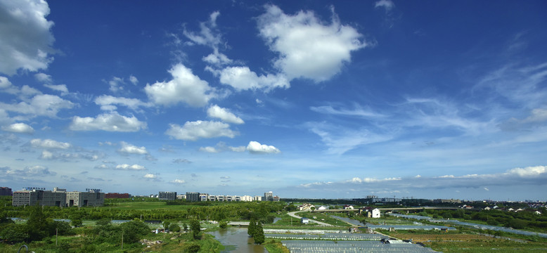 上海城市郊区风光