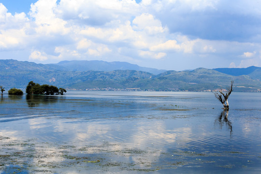 大理古生村风光