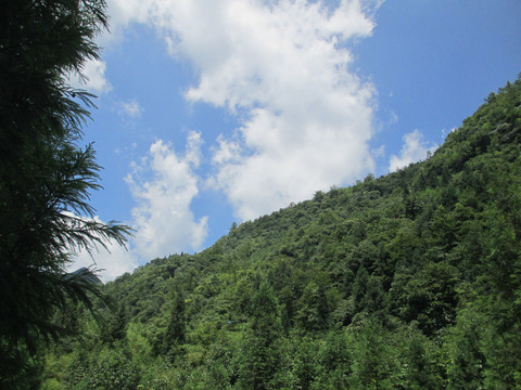 重庆武隆仙女山风景照