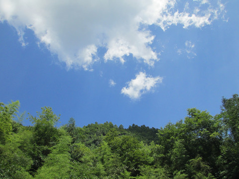 重庆武隆仙女山风景照