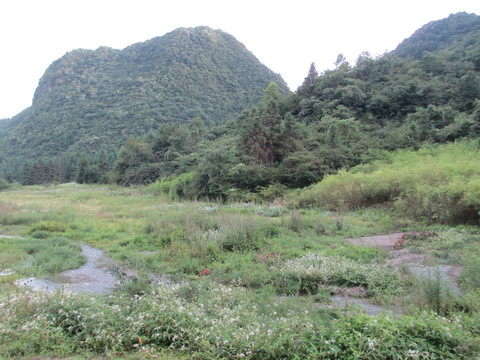 武隆仙女山景区风景照