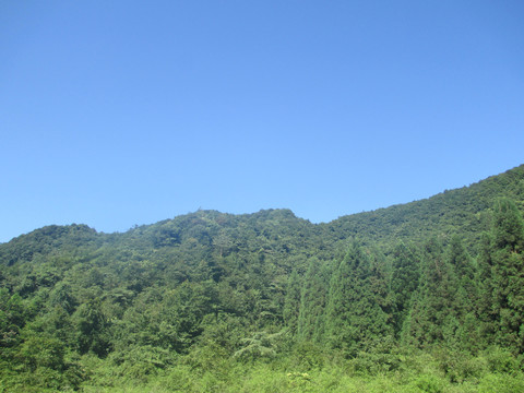 武隆仙女山景区风景照