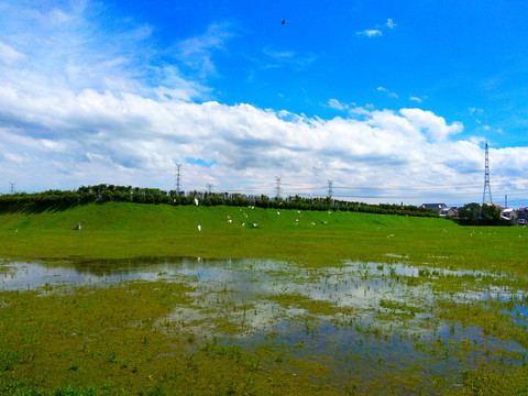 雨后草坪