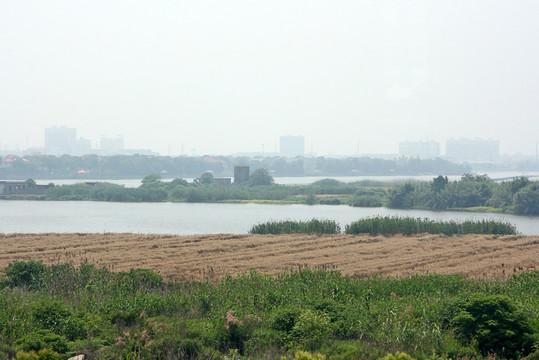 长三角平原