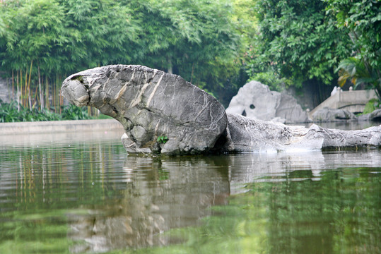 湖中奇石