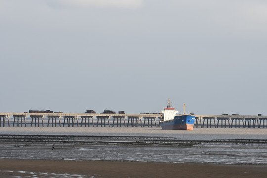 泉州湾海滩