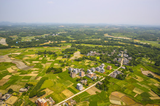 田园风光