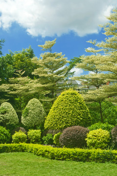 植物园美景