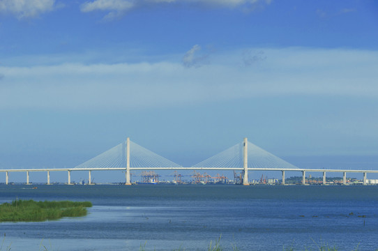 泉州湾跨海大桥风景