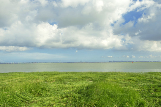 泉州海湾风光