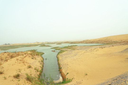 沙漠中的塔里木河