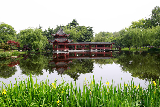 長(zhǎng)沙橘子洲