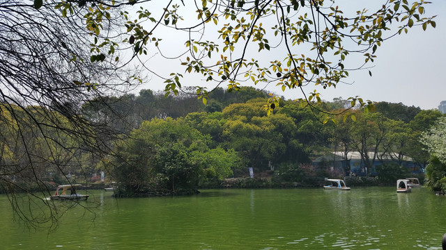 山水风景