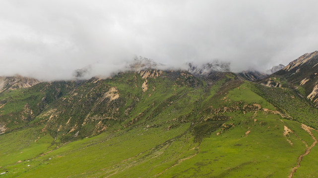 高山林芝毛垭草原雪山西藏风景