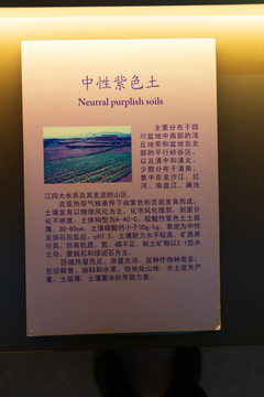 中国农业博物馆中性紫色土标本