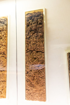 中国农业博物馆棕色石灰土标本