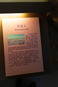 北京中国农业博物馆棕漠土标本