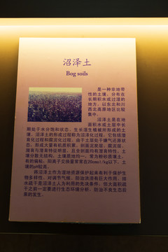 北京中国农业博物馆沼泽土标本