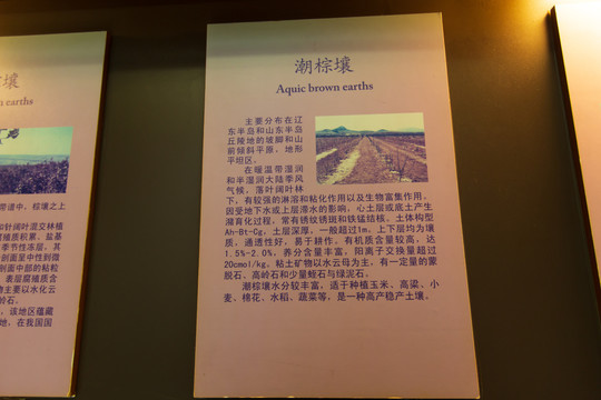 北京中国农业博物馆潮棕壤标本