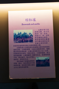 北京中国农业博物馆棕红壤标本