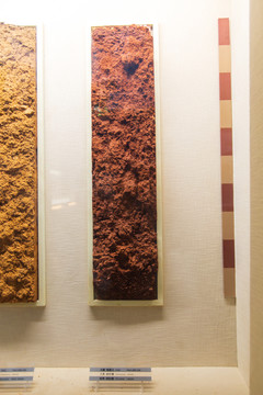 中国农业博物馆土壤砖红壤标本