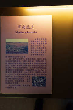 北京中国农业博物馆草甸盐土标本