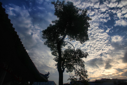 广州光孝寺古建筑