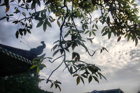 广州光孝寺古建筑