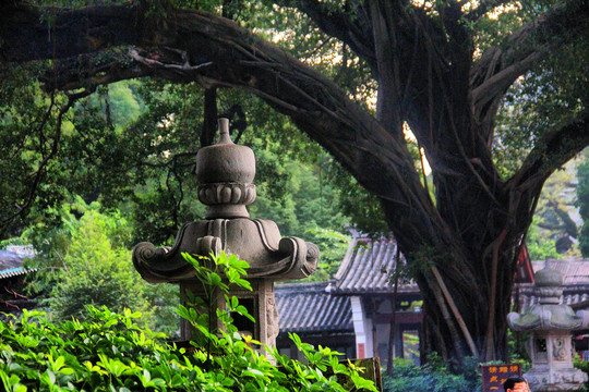 广州光孝禅寺