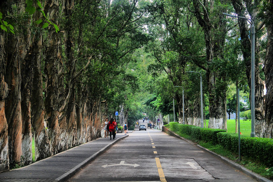 中山大学