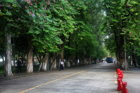 广州中山大学