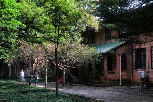 中山大学