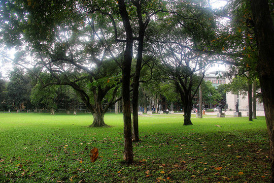 中山大学